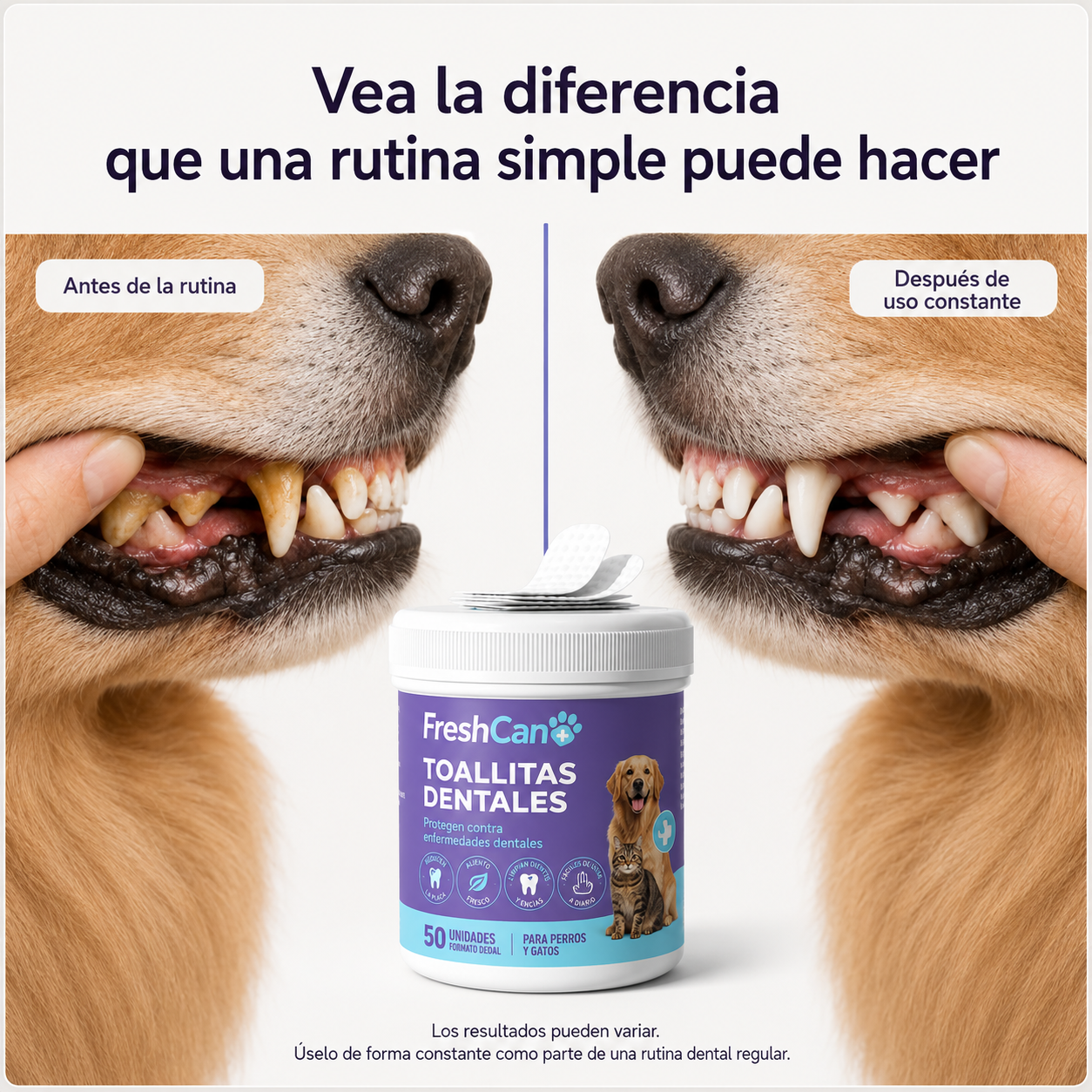 FreshCan Wipes