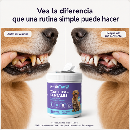 FreshCan Wipes