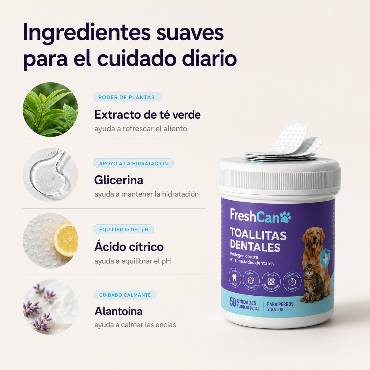 FreshCan Wipes